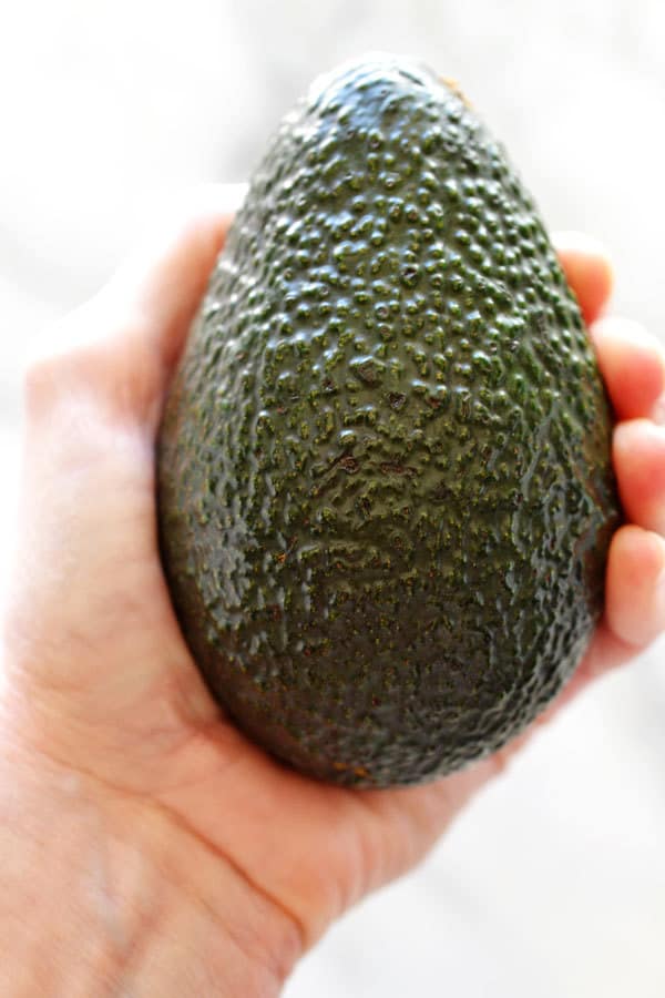 Hass avocado