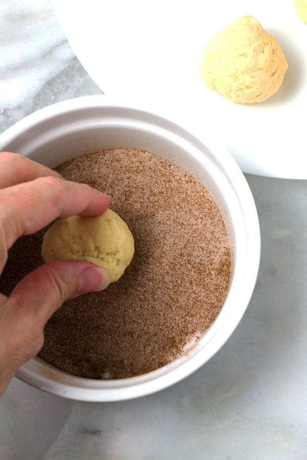 snickerdoodle-cookie dough ball