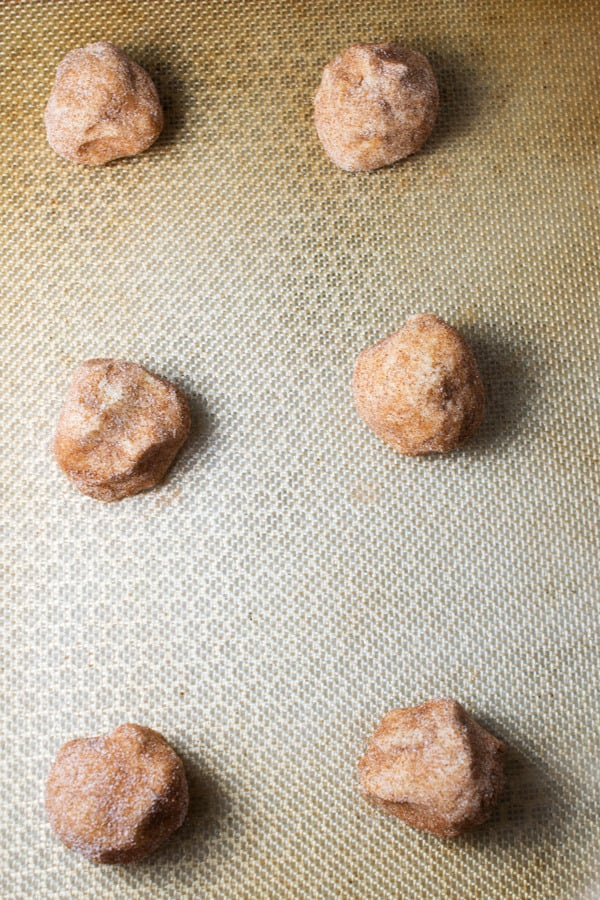 snickerdoodle-cookie dough balls-image