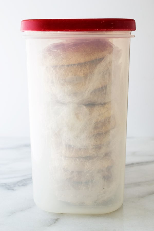 Snickerdoodle cookies in airtight container.
