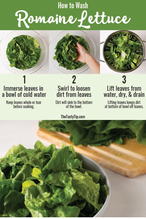 steps to wash lettuce