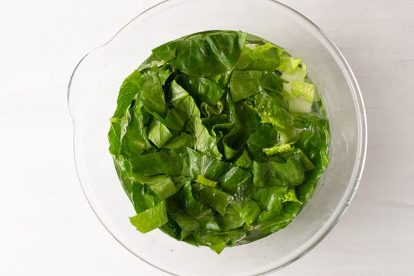 Lechuga en remojo en un bol de agua