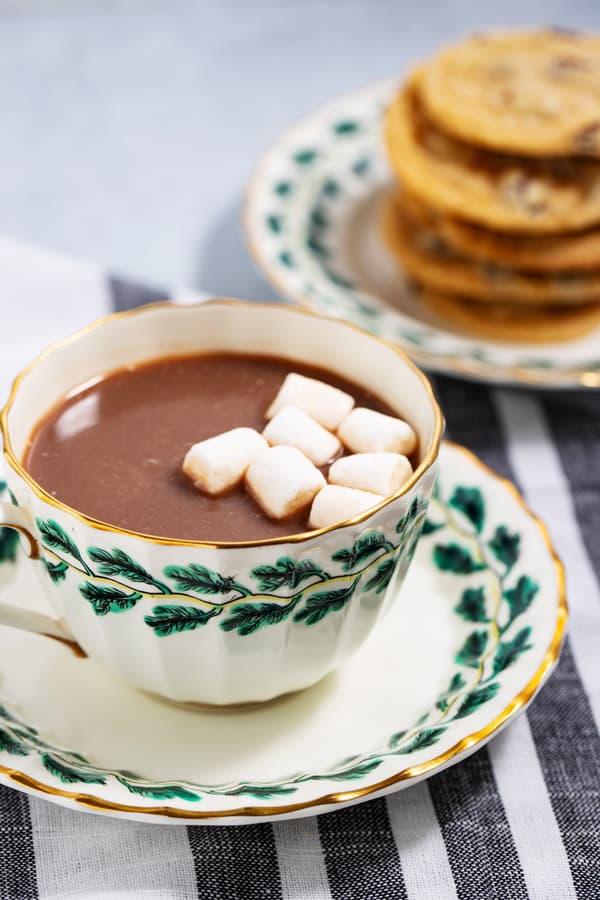 cup of hot chocolate with marshmallows and plate of cookies