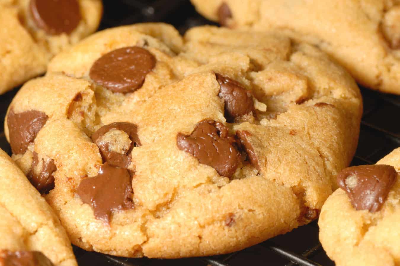 Soft chocolate chip cookies.