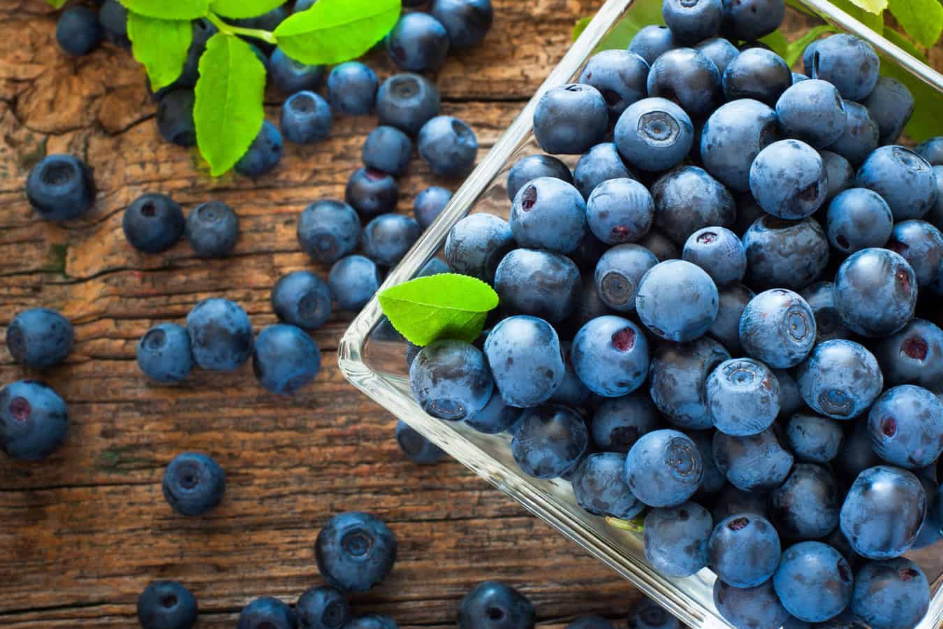 Basket of fresh blueberries.