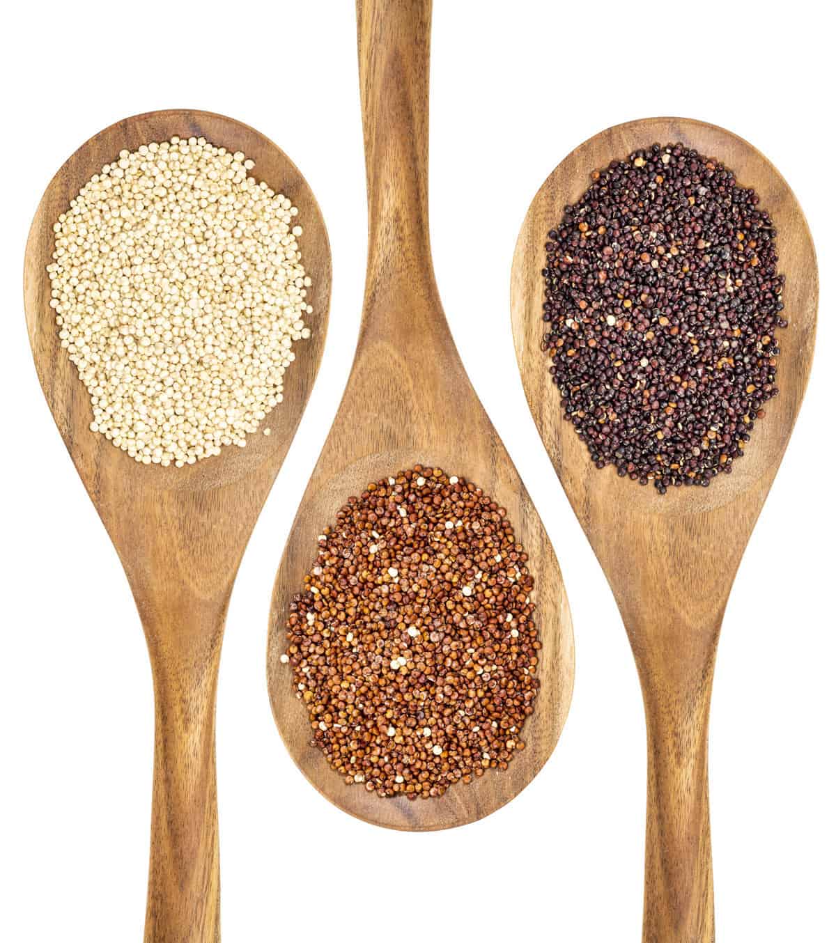 white, red, and black quinoa on separate wooden spoons