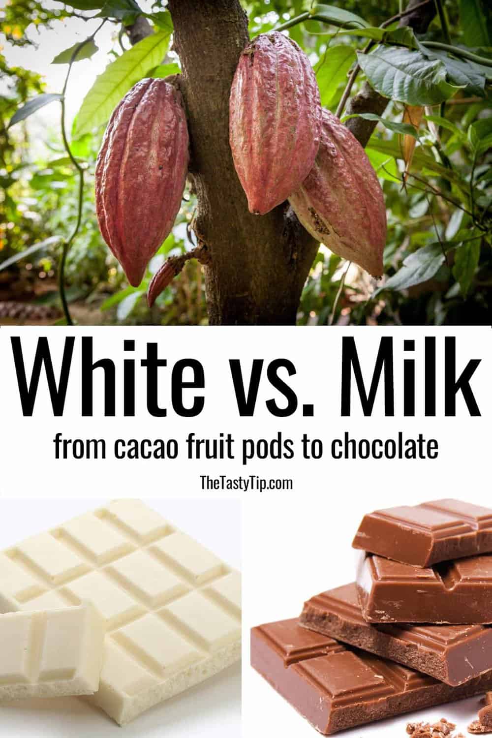 white chocolate vs milk chocolate pictures