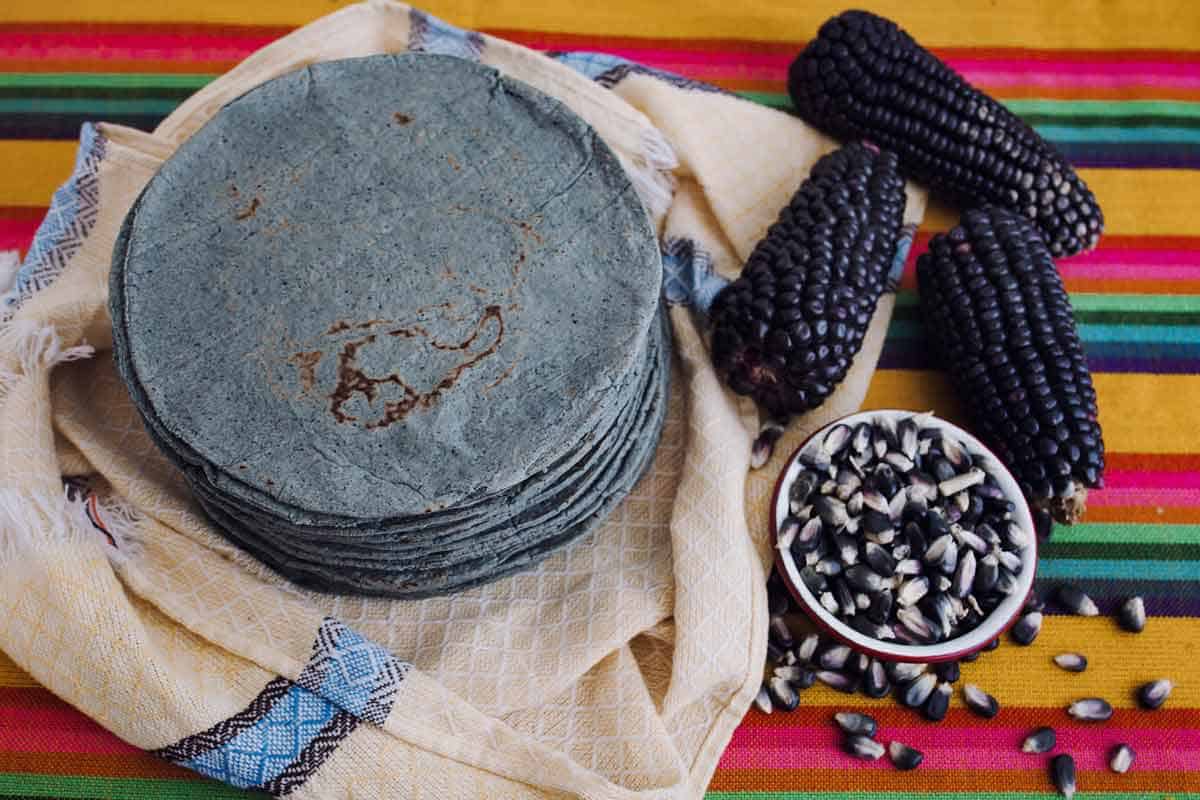 Stack of blue corn tortillas.