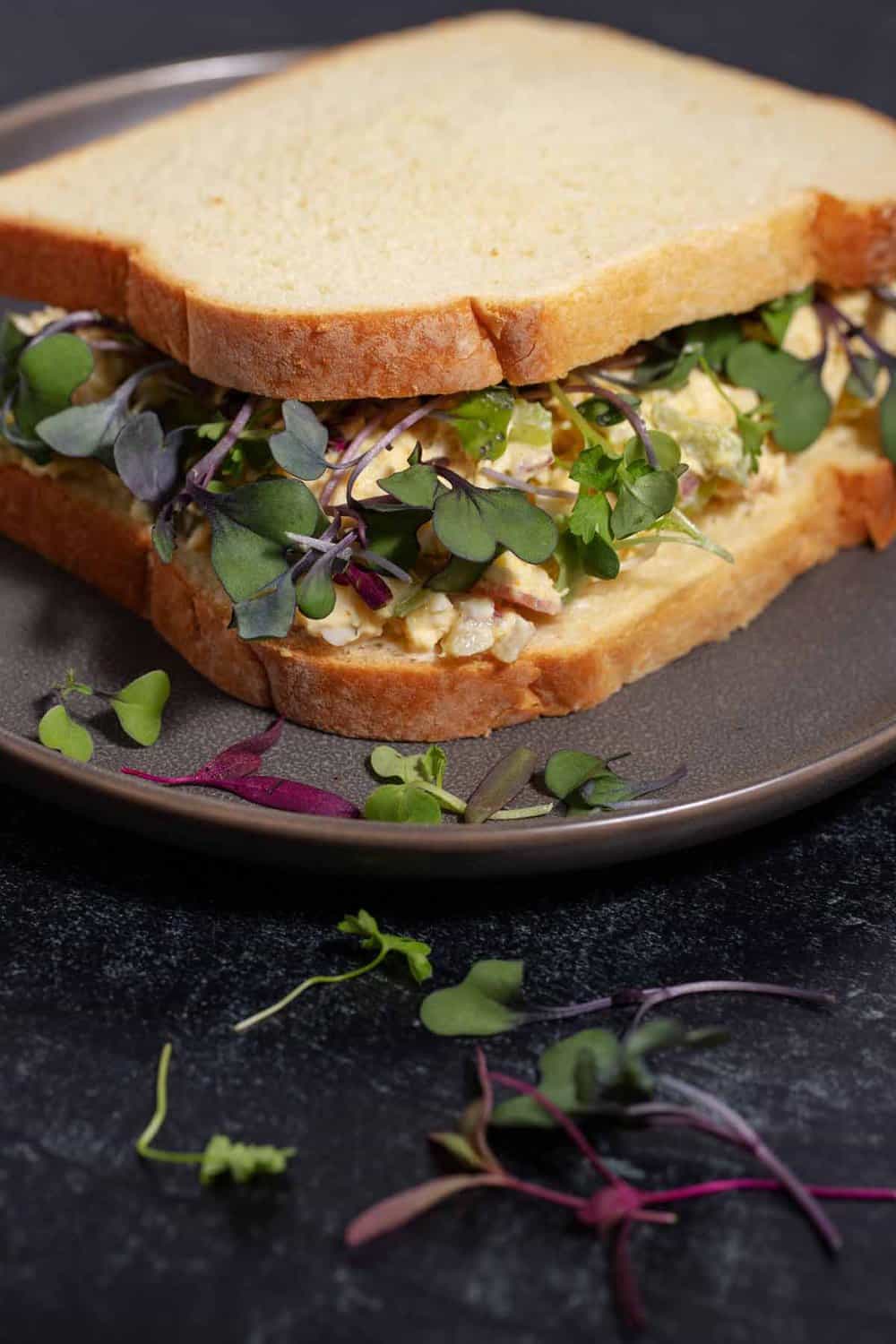 Microgreen sandwich topping on chicken salad sandwich.