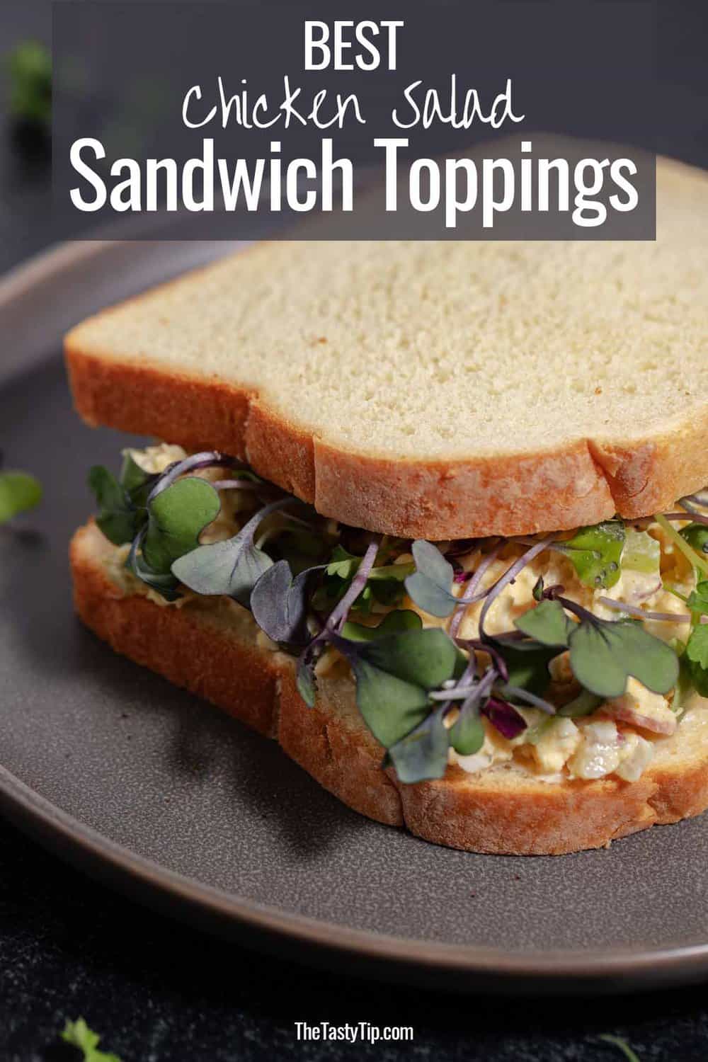 microgreens topping on chicken salad sandwich