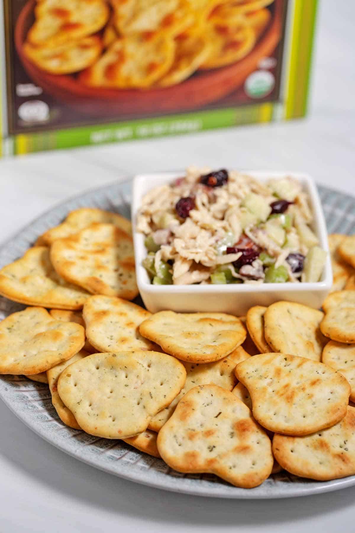 Plate of naan crackers and a bowl of chicken salad.
