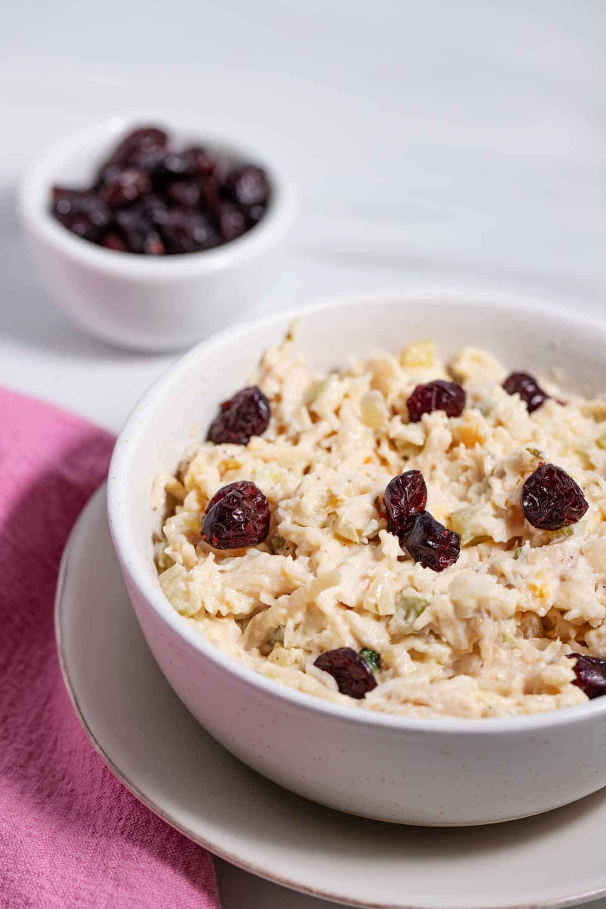 Bowl of store-bought chicken salad with added craisins to improve the taste.