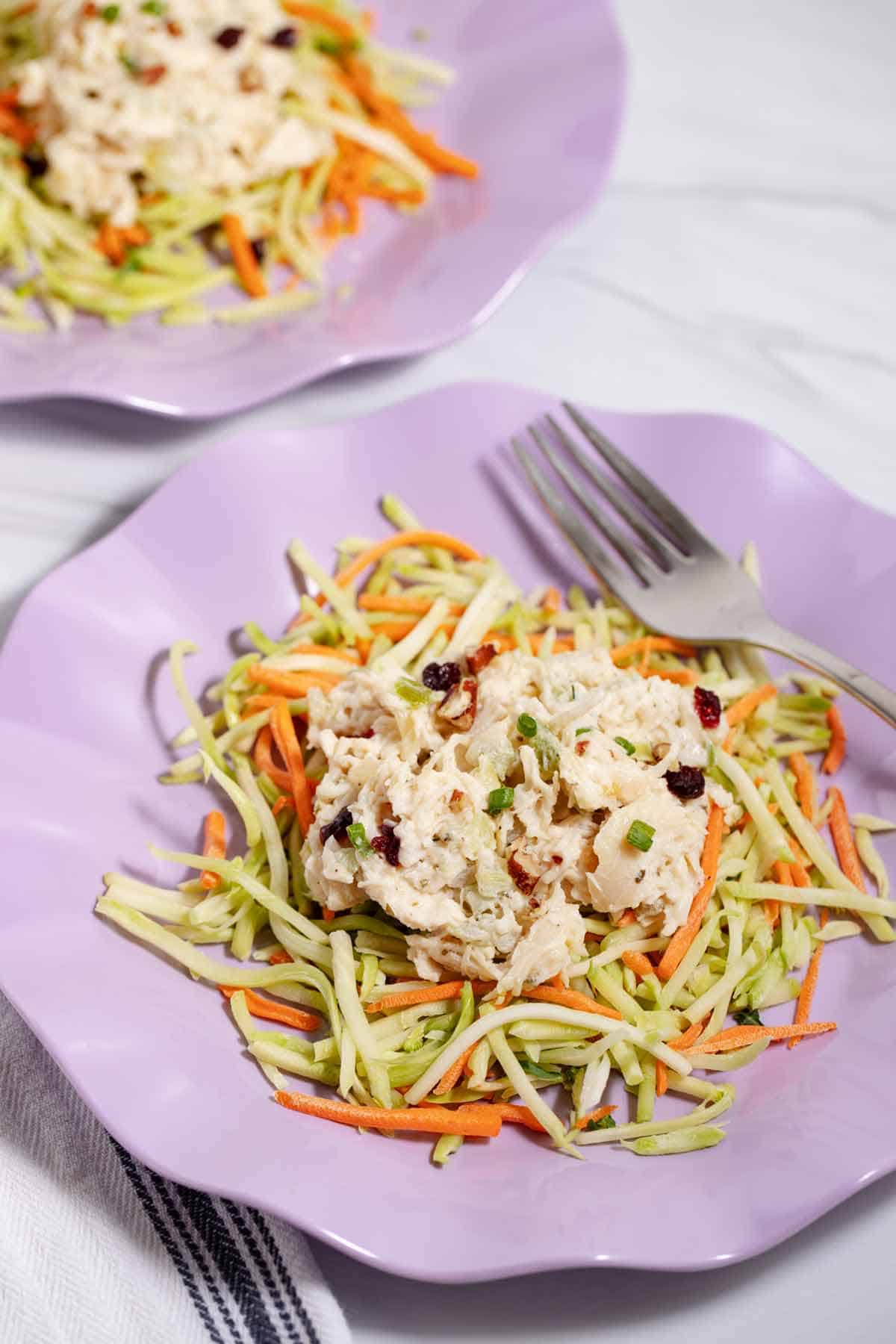 Chicken salad on a bed of coleslaw.