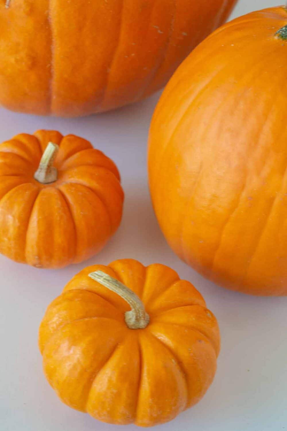 how-to-save-pumpkin-seeds-to-roast-and-eat-gardener-s-path