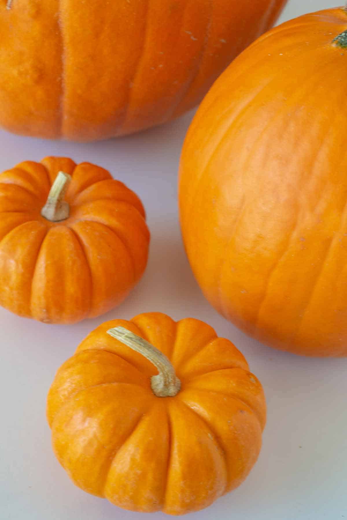 Various whole cooking pumpkins.