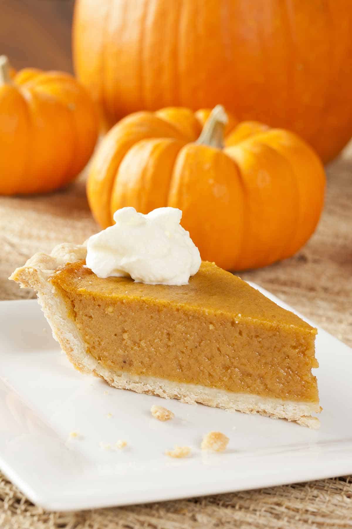 Slice of pumpkin pie with whipped cream on top.