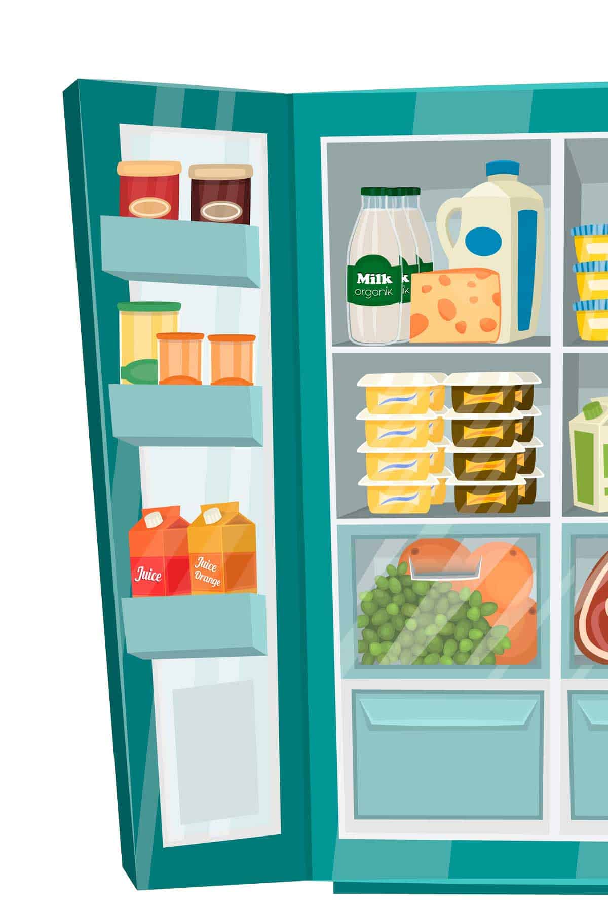 Illustration of an open fridge with milk and dairy on the top shelf, leftovers on the middle shelf, and fruit in the crisper bin.