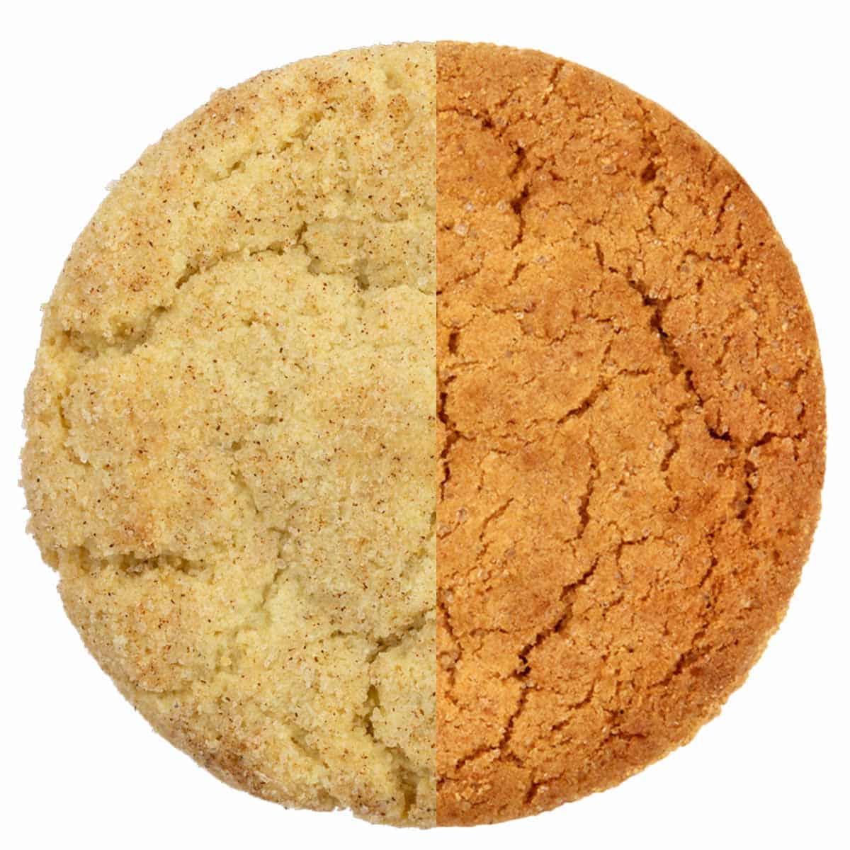 Half a snickerdoodle and half a gingersnap lined up together looking like 1 cookie.