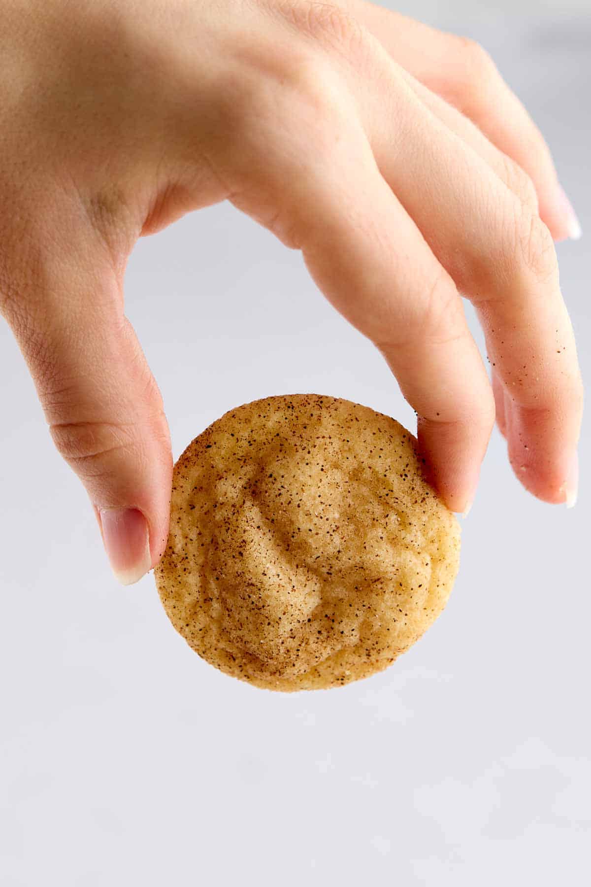 Closeup of fingers holding a mini snickerdoodle to see the small size.