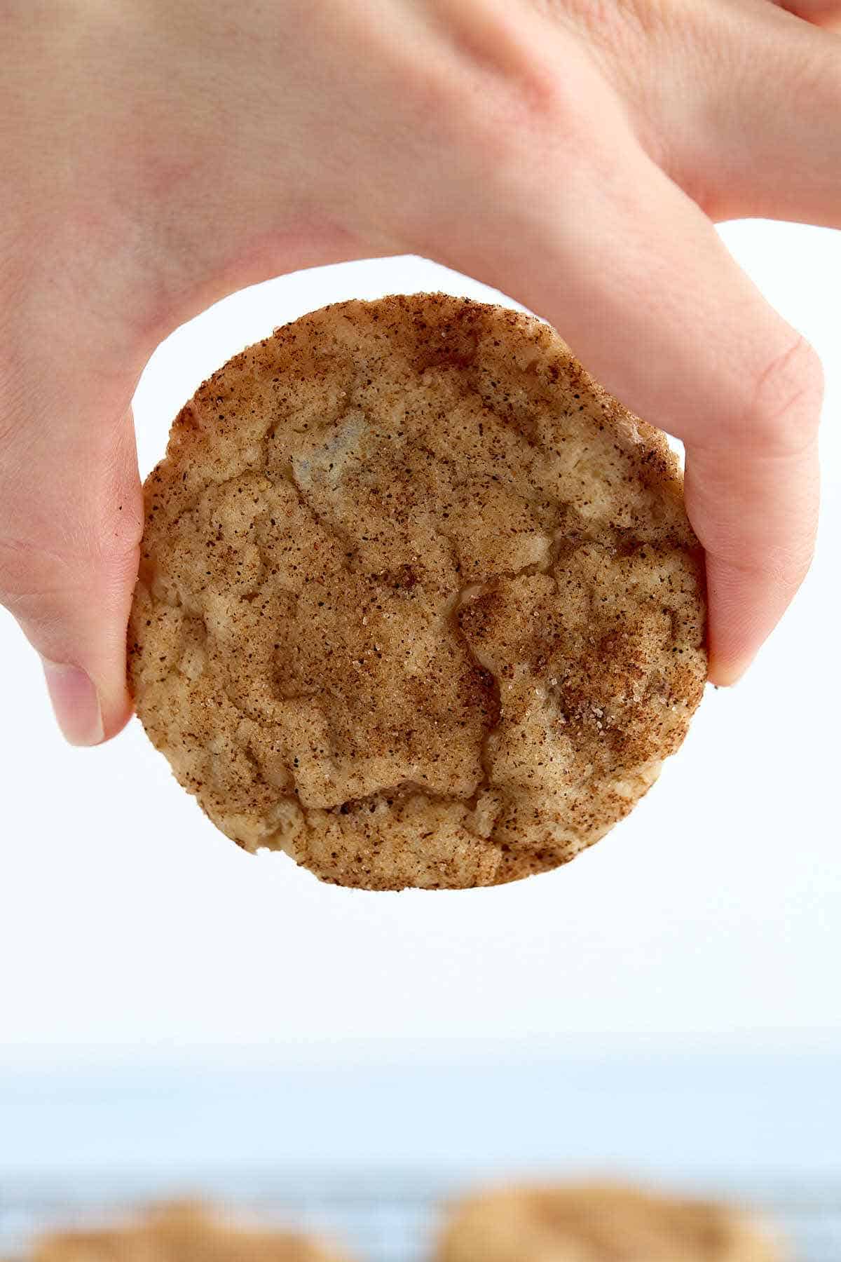 Fingers holding a butter pecan cake mix cookies to show the size and texture.