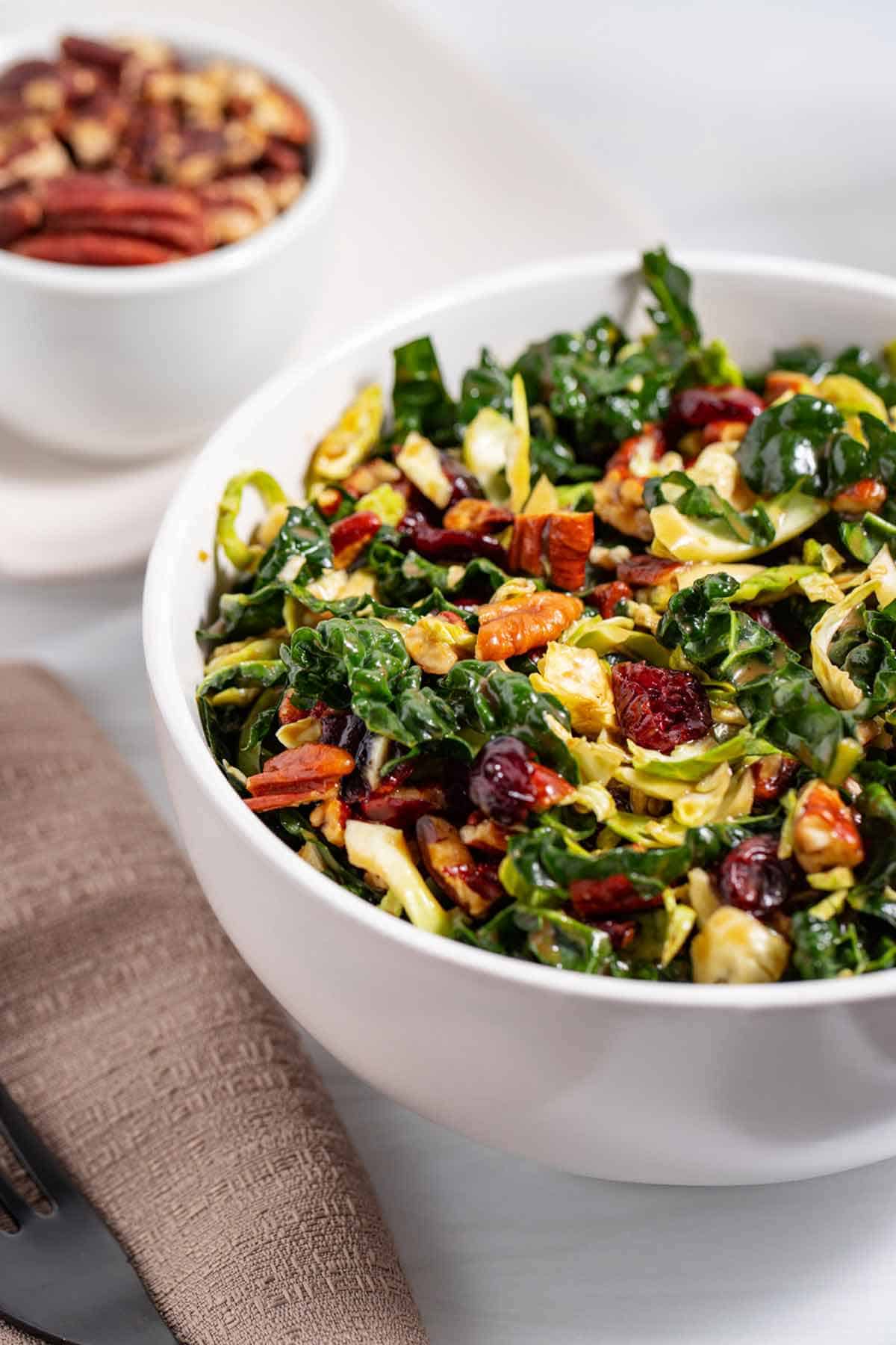 Bowl of kale and Brussels sprouts salad with chopped pecans and dried cranberries.