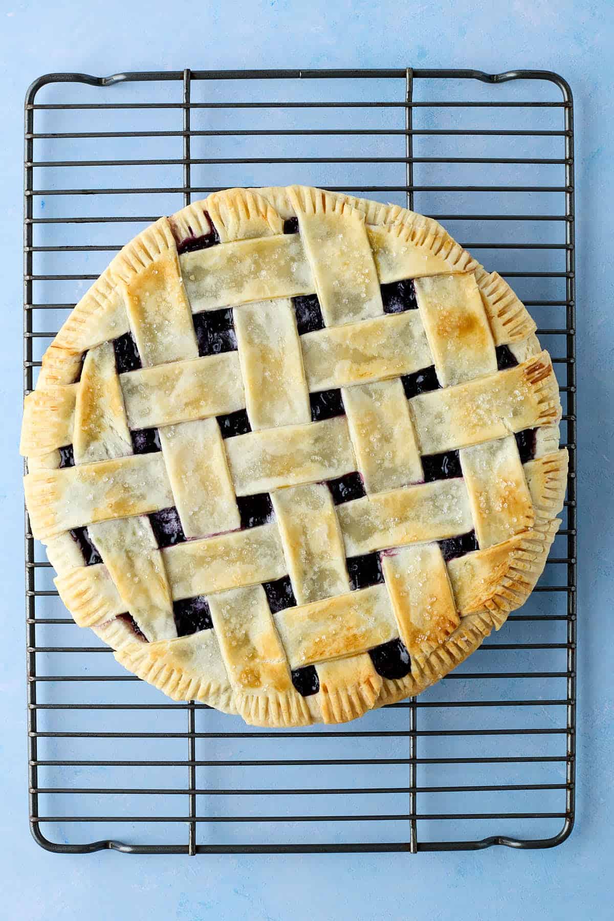 Baked blueberry pie cooling on a wire rack.