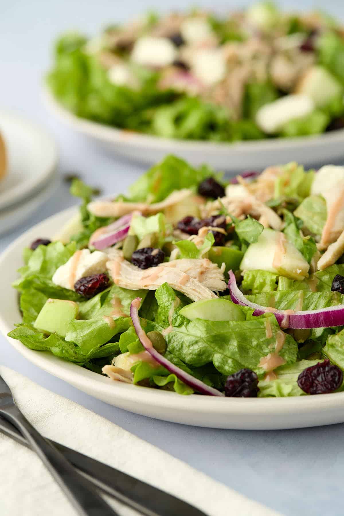 Turkey salad with cranberries and greens on a plate.