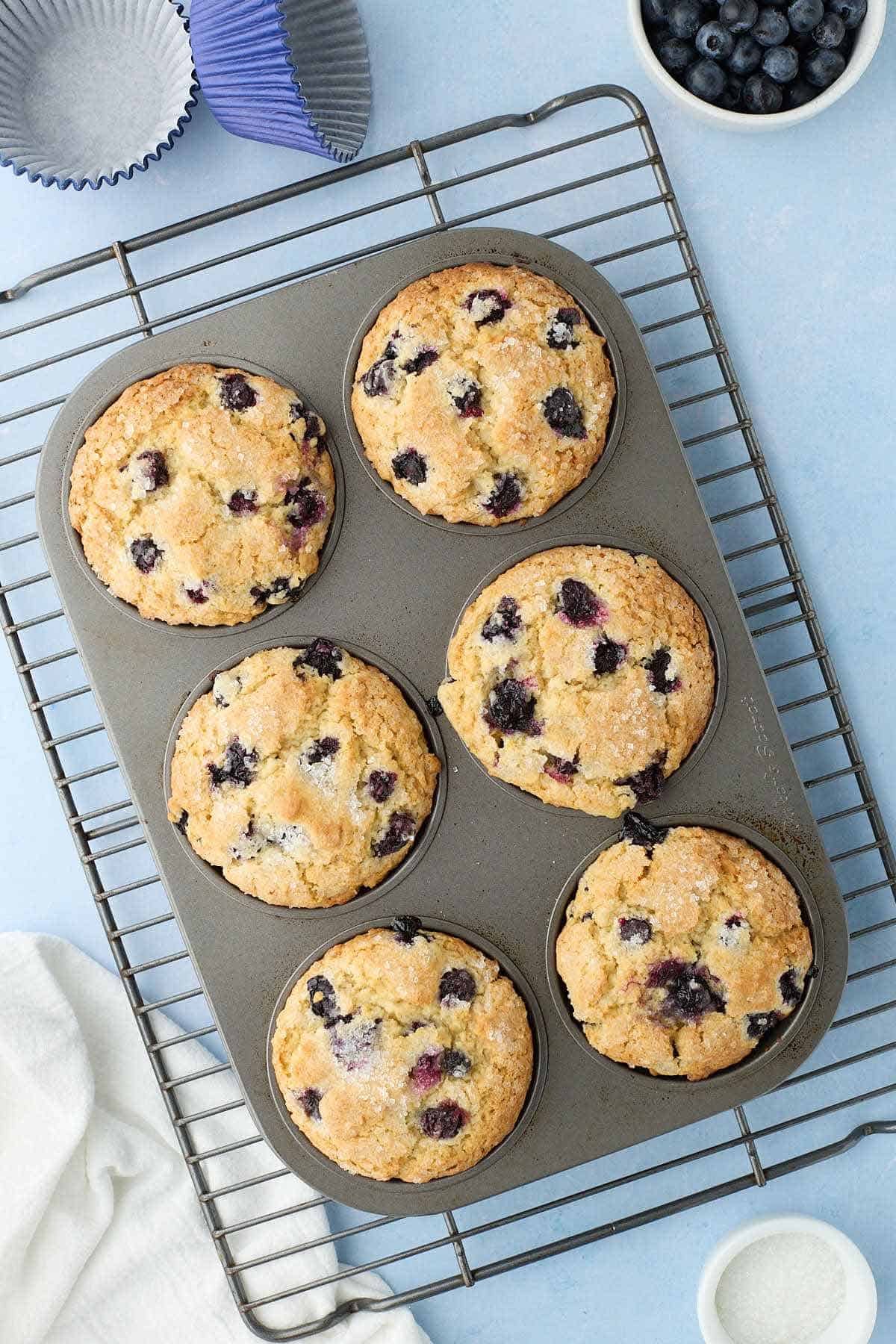 Overhead view of baked buttermilk blueberry muffins on a cooling rack.