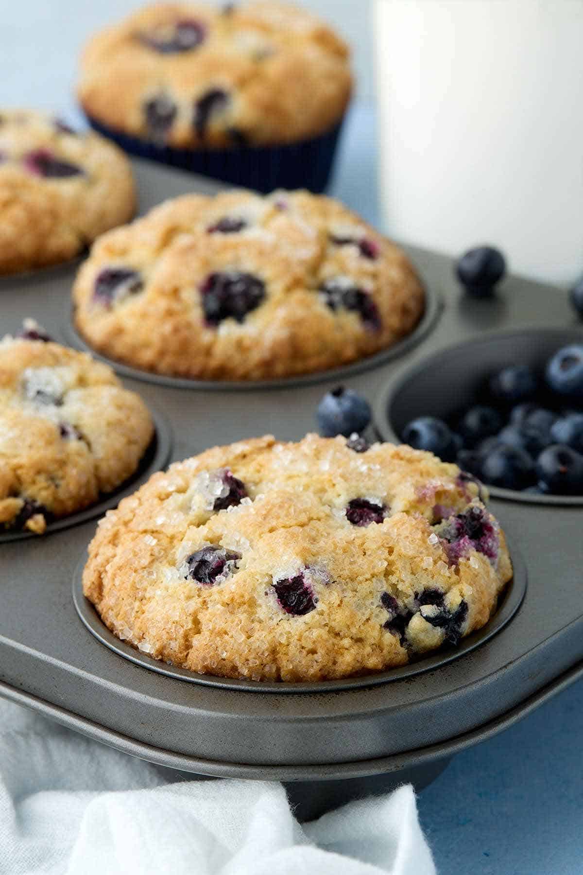 Buttermilk blueberry muffins in a muffin tin with one compartment filled with fresh blueberries.