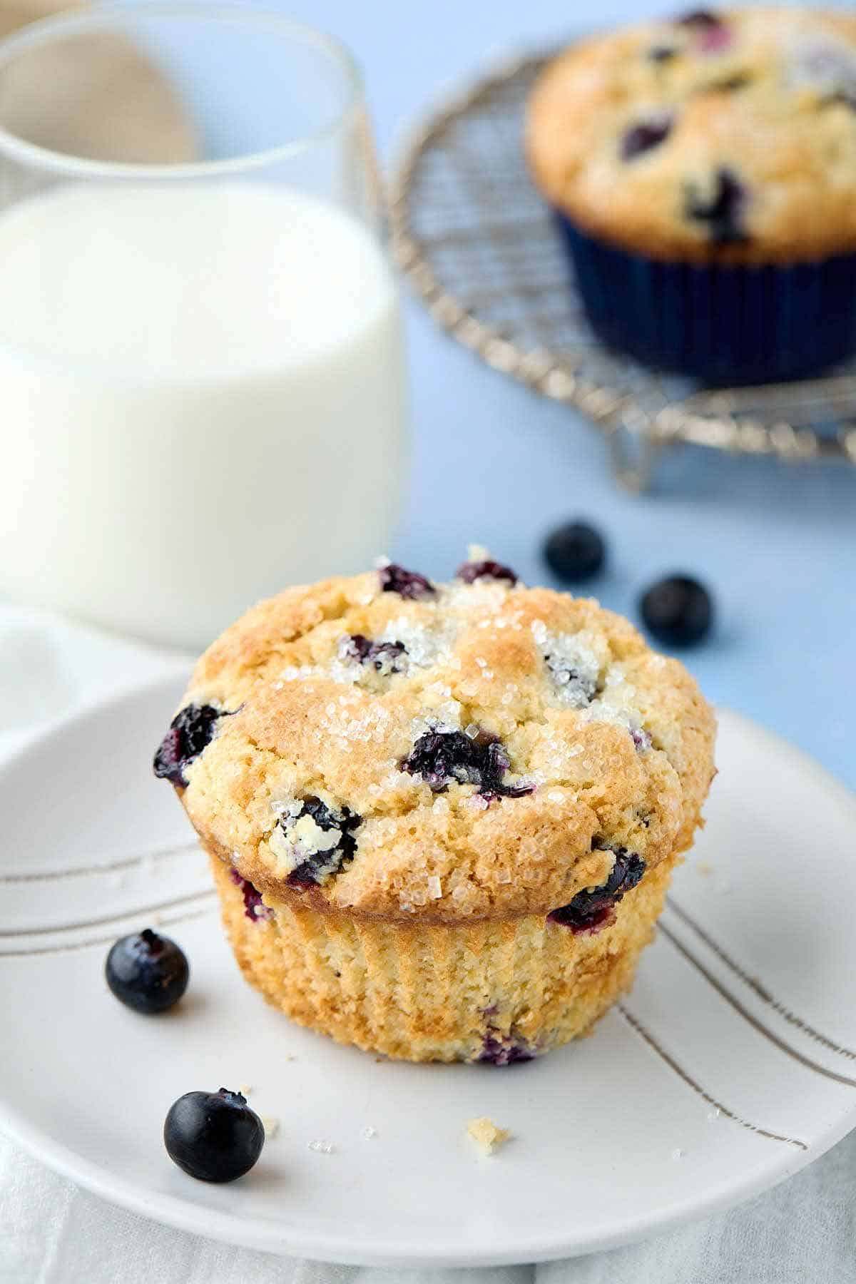 Buttermilk blueberry muffin on a plate with a glass of milk in the background.